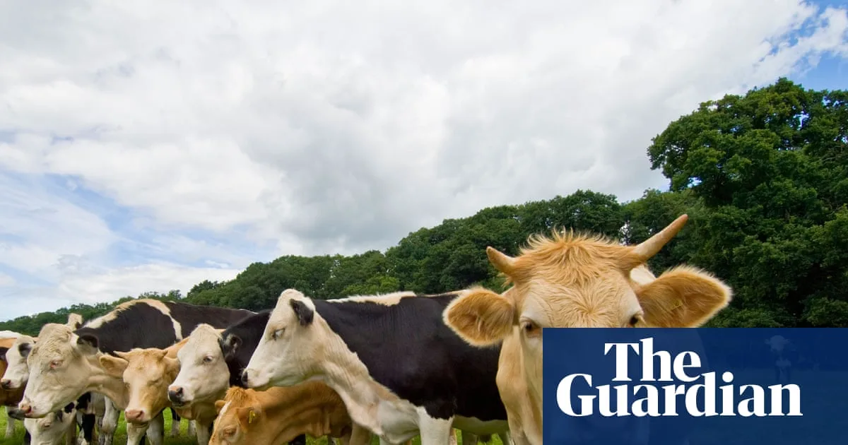 Train Services Disrupted for Hours After Cows Block West Coast Mainline