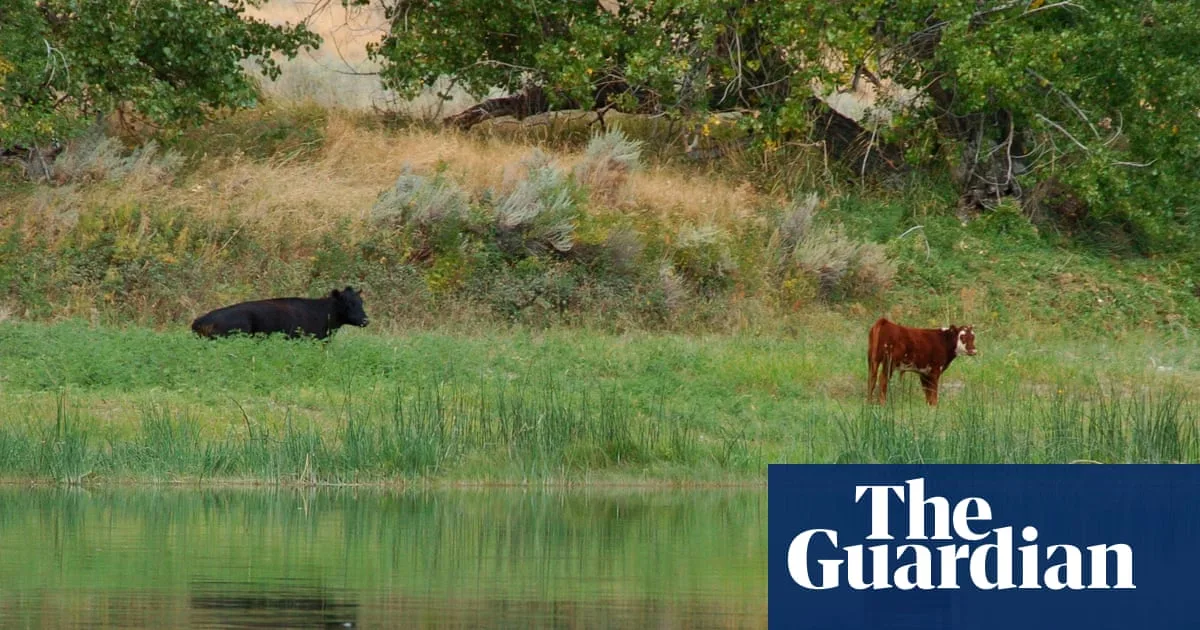 Trump Administration Cancels Biden-Era Public Land Conservation Rule