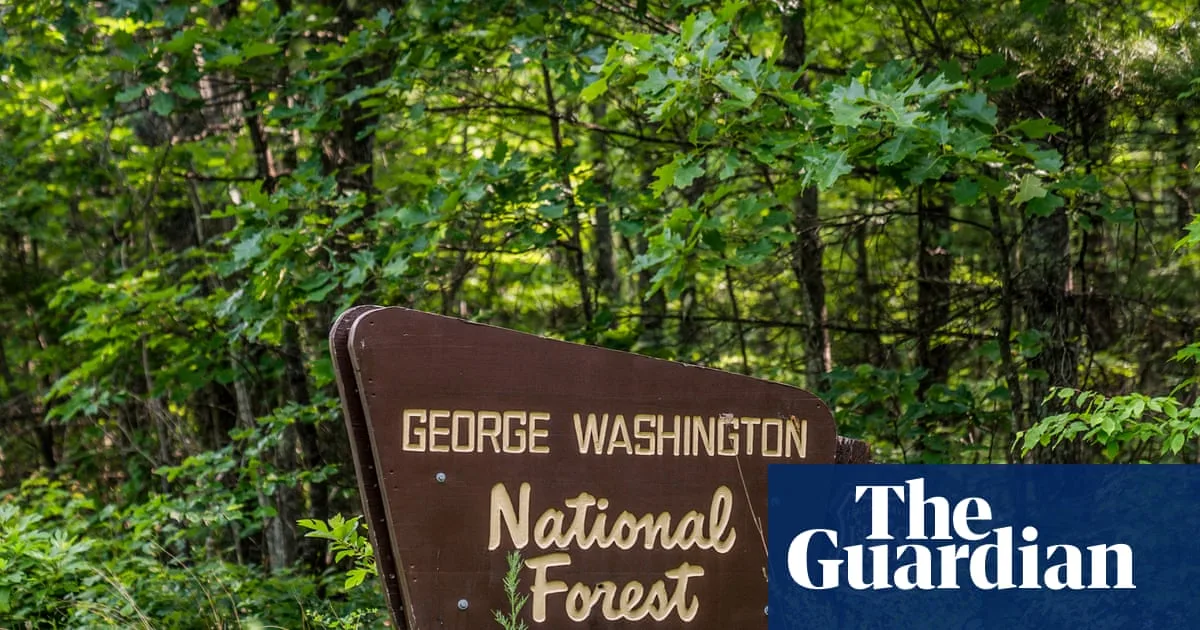 Trump Administration Moves to Rescind Roadless Rule on National Forests