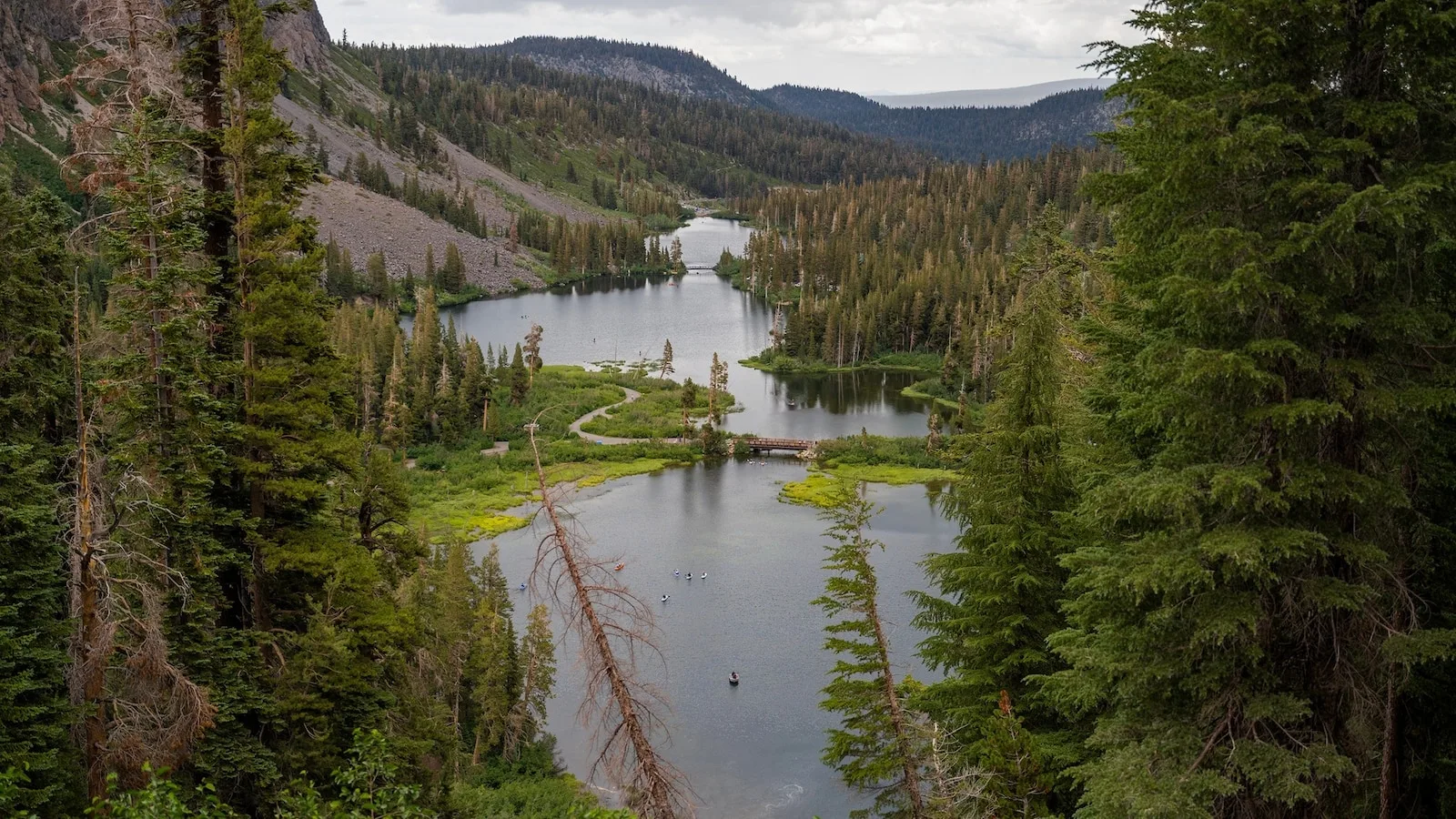 Trump Administration Proposes Rule to Allow Logging in National Forests
