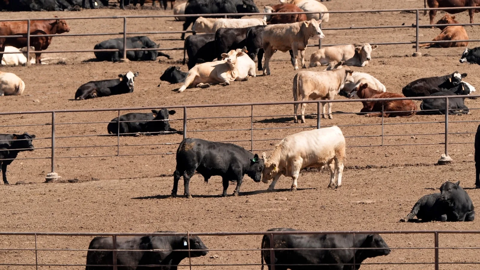 Trump's Canada Tariff Policy Draws Scrutiny from House GOP and Farmers