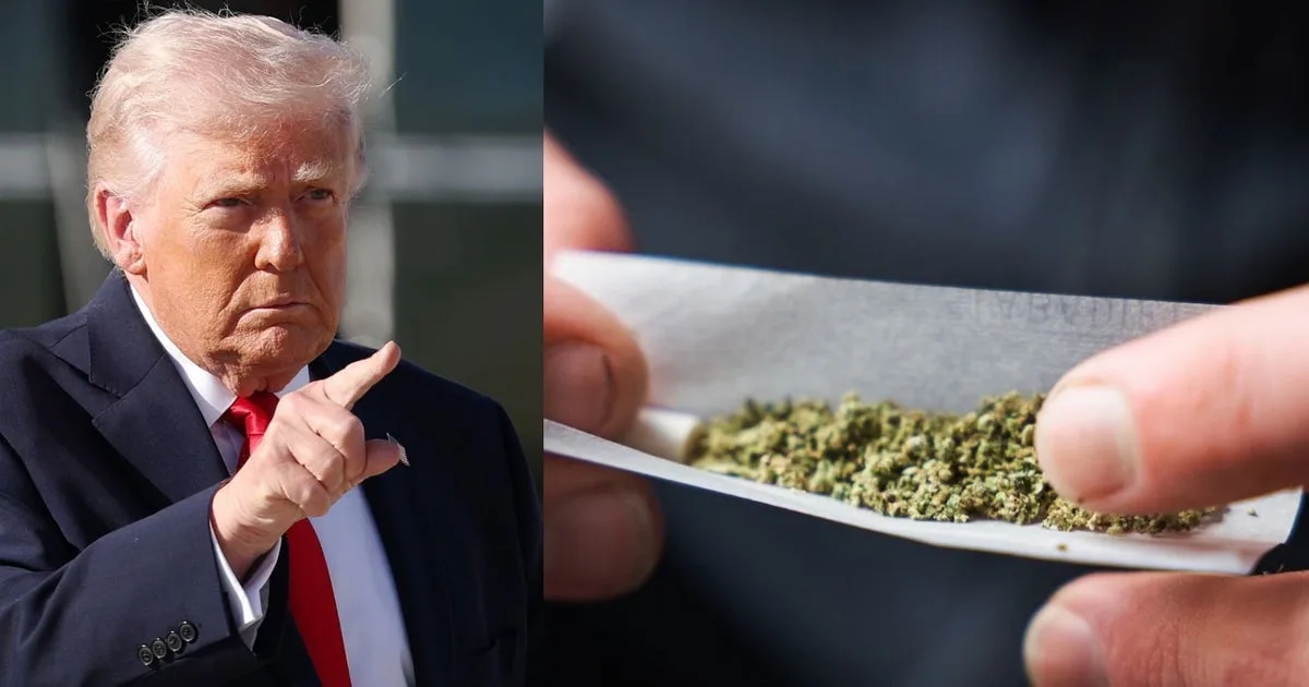 Trump Signs Executive Order to Accelerate Psychedelic Drug Research and Access