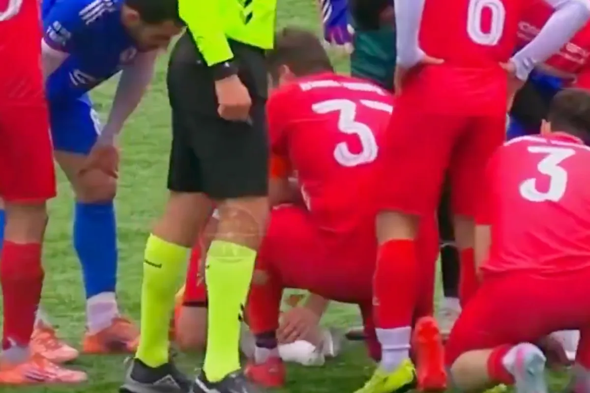 Turkish Footballer Performs CPR on Seagull During Istanbul Match