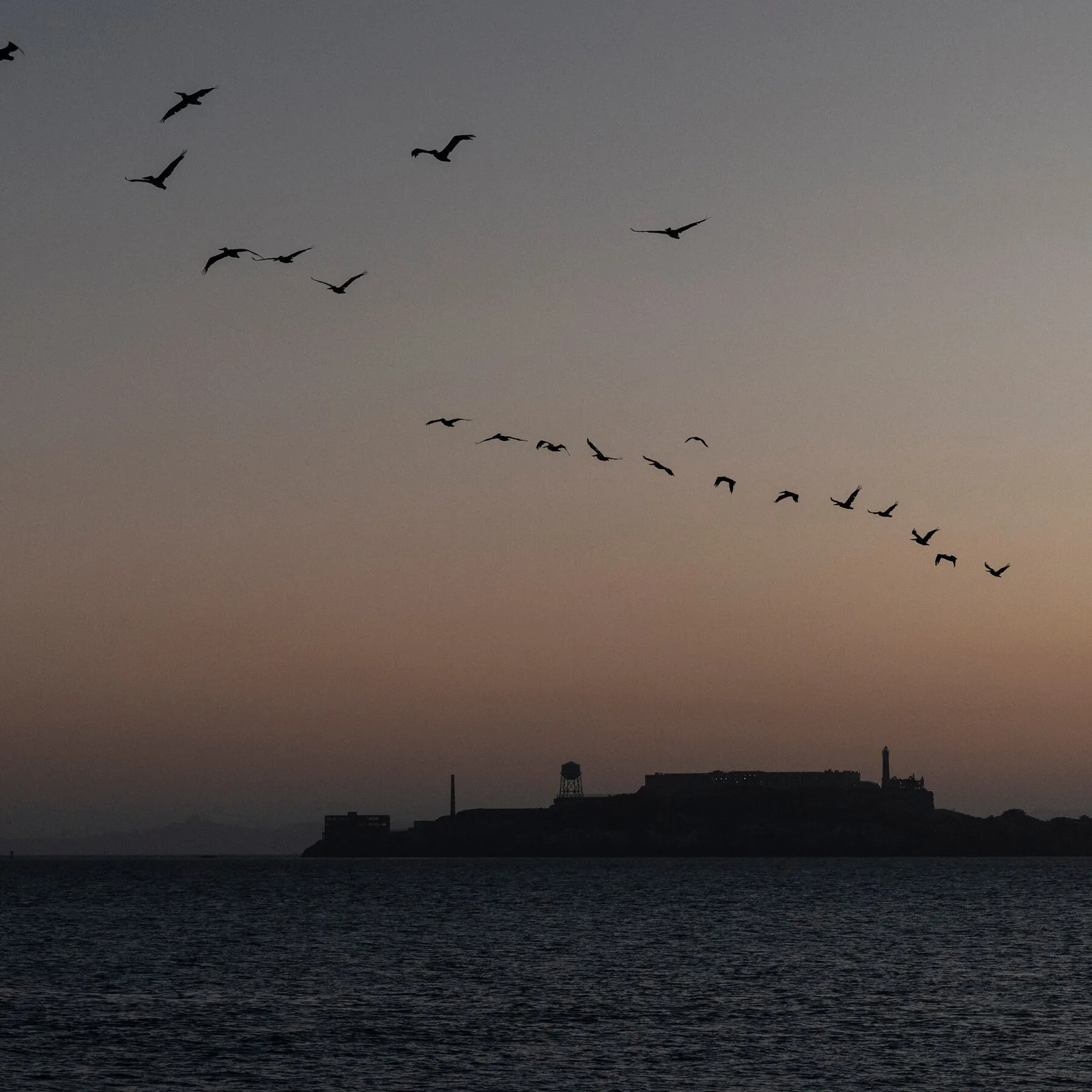 Two Dead After Boat Capsizes During Memorial Trip in San Francisco Bay
