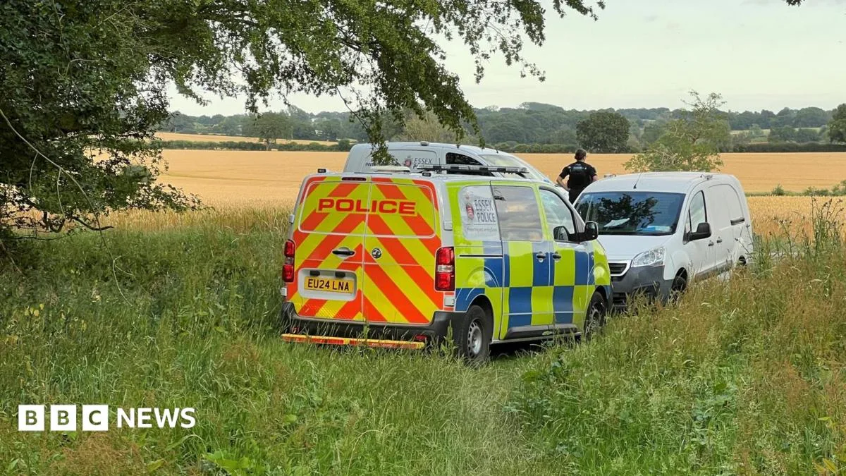 Two Dead After Light Aircraft Crashes During Flight Experience in High Ongar