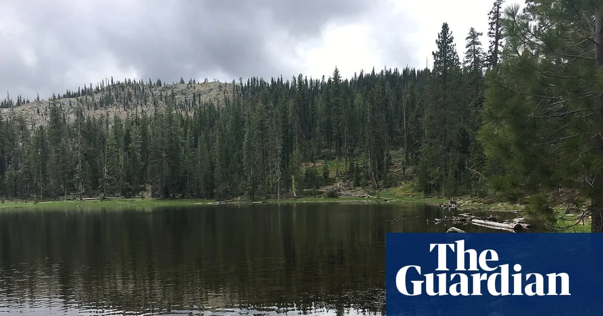Two US Forest Service Employees Released After Hostage Incident in California Forest