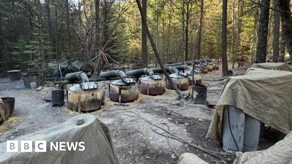 Two CIA Officers Killed in Car Crash After Mexico Counternarcotics Operation