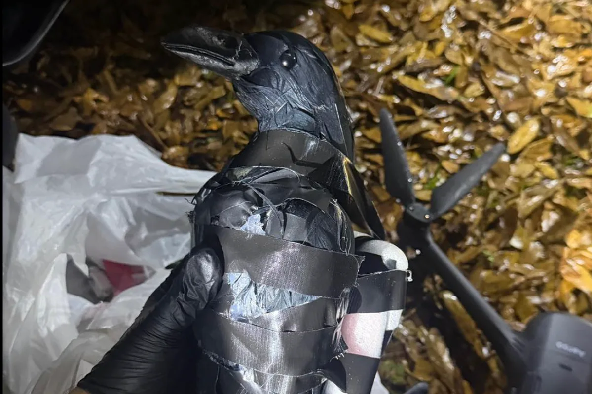 Two Women Arrested for Using Drone Disguised as Crow in Texas Prison Smuggling Attempt