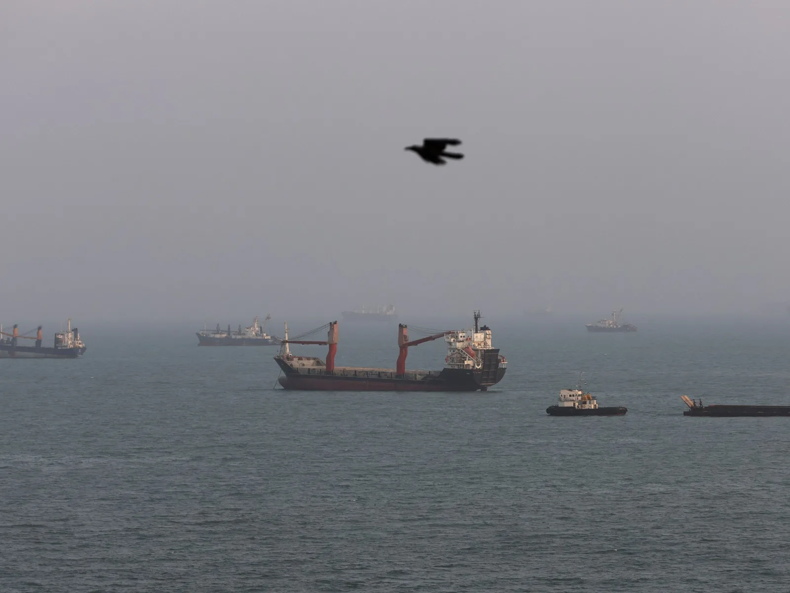 UAE Accuses Iran of Attacks on ADNOC Vessels in Strait of Hormuz