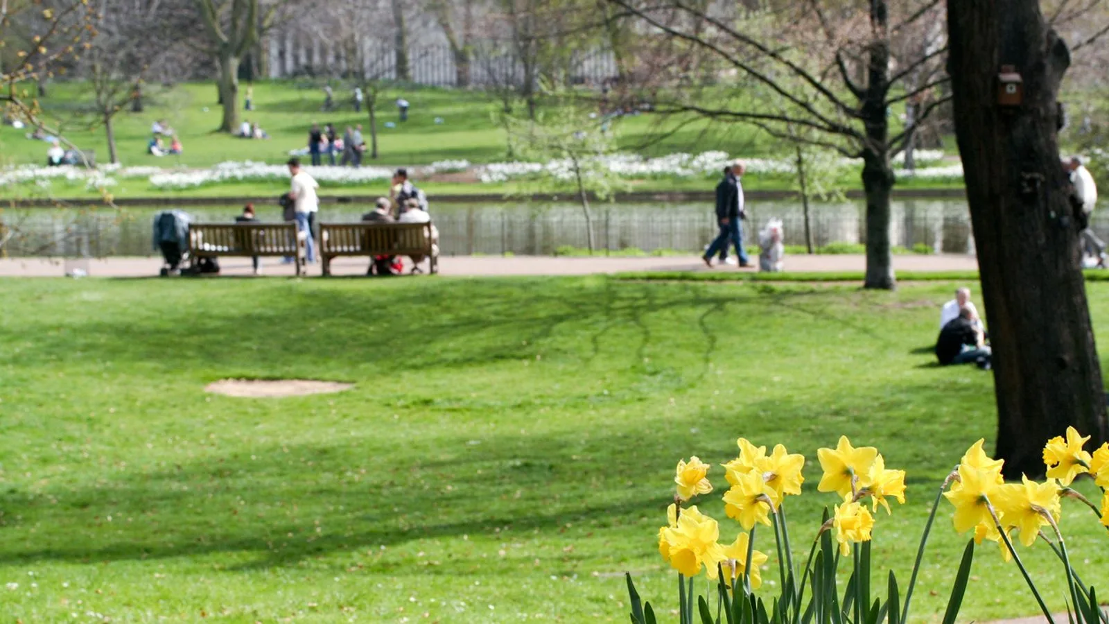 UK Experiences Warmest Day of Year as Temperatures Reach 19.5C in Cornwall