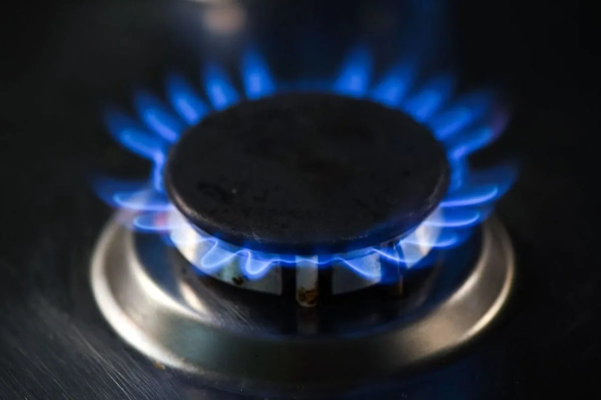 UK Gas Supply Expected to Meet Demand as Households Urged to Use More Power