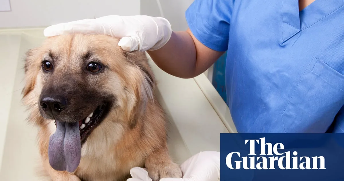 UK Government Proposes Prescription Cap and New Regulator for Vet Sector