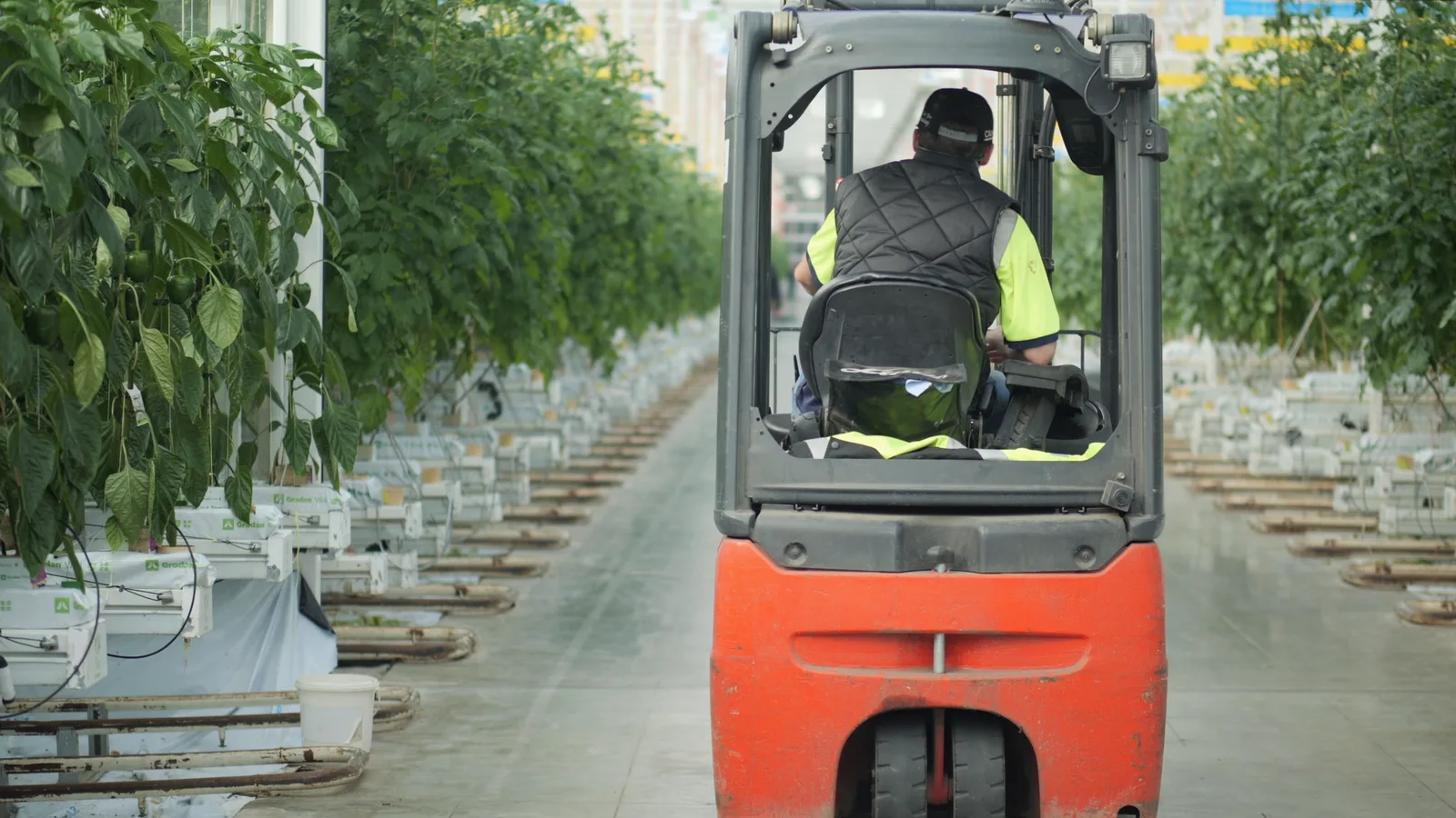 UK Households Face Rising Food Prices and Increased Reliance on Savings