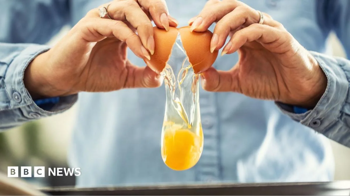 UK Salmonella Cases Linked to Imported Eggs Approach 500 Amid Ongoing Investigation
