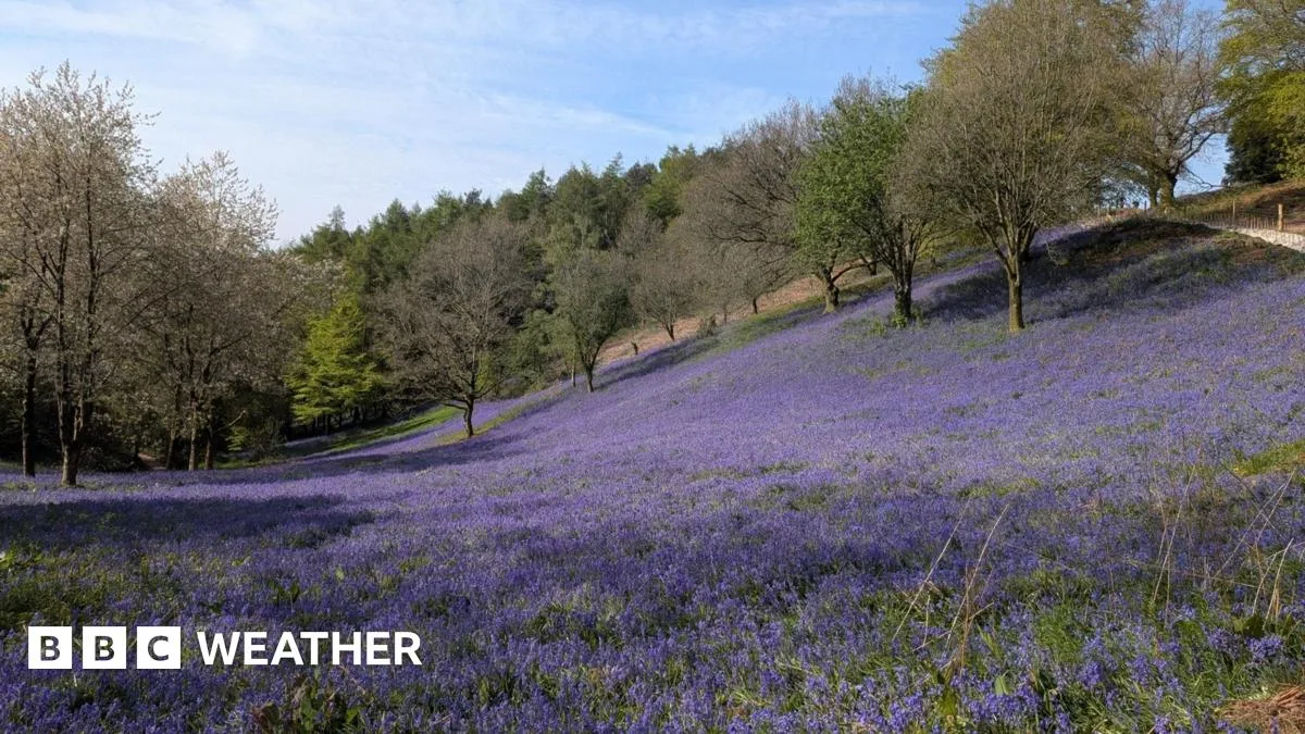 UK Temperatures Expected to Drop Sharply After Warm Bank Holiday Weekend