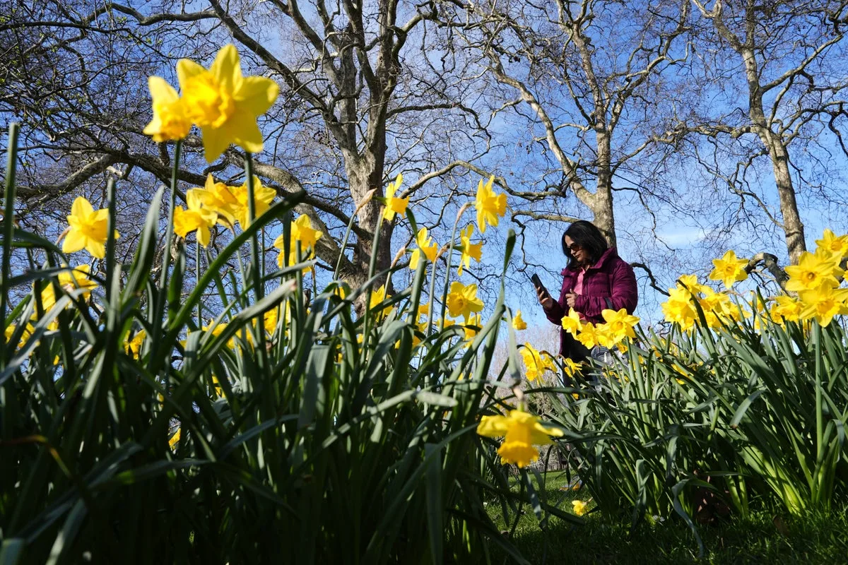 UK to experience sunny spring with temperatures reaching 18C this week