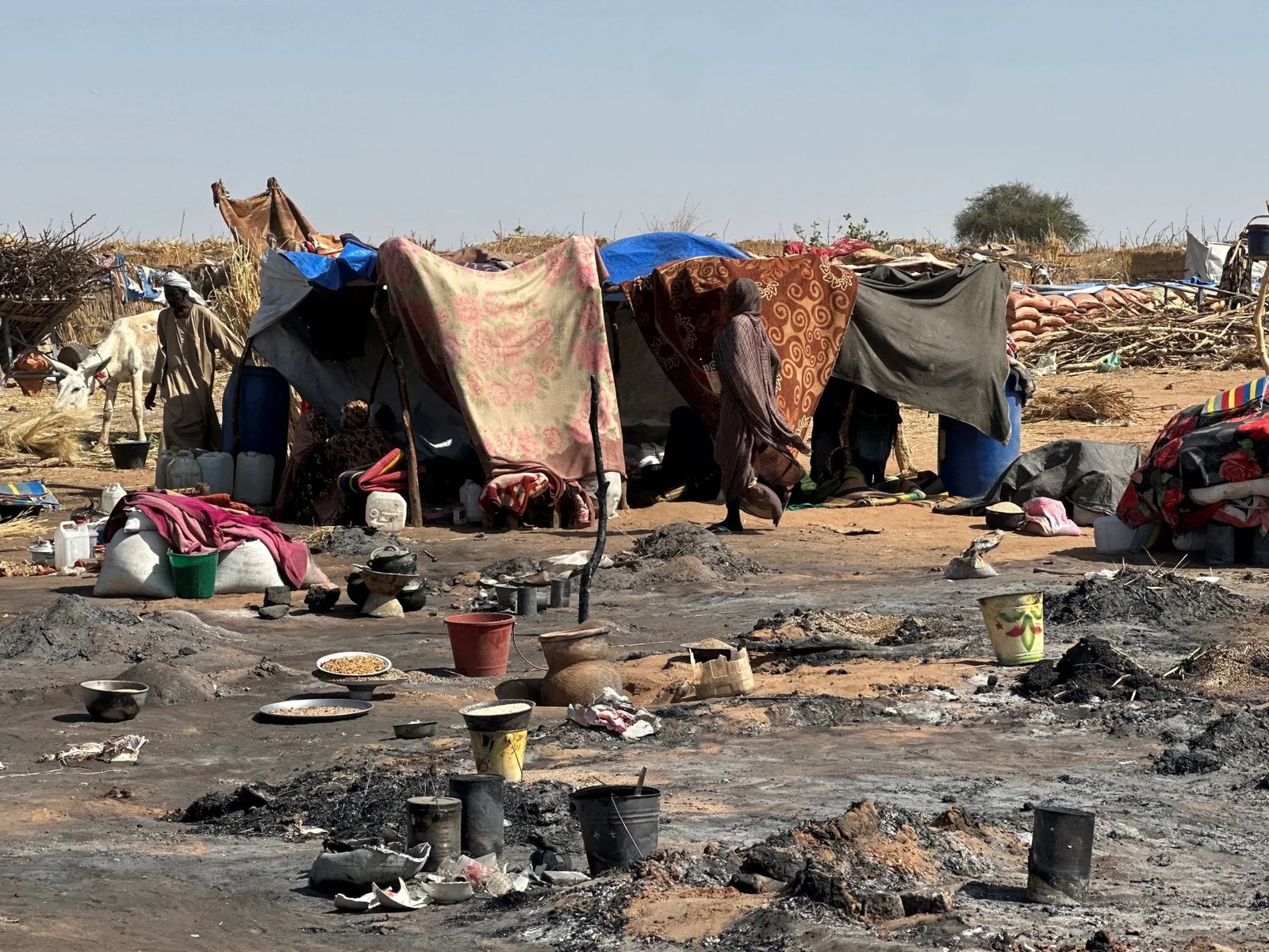 UN Report Finds RSF Siege of El Fasher Exhibited Hallmarks of Genocide