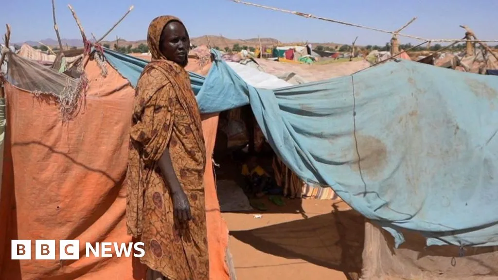 UN Report Identifies Genocide Signs in Sudan's El Fasher Killings