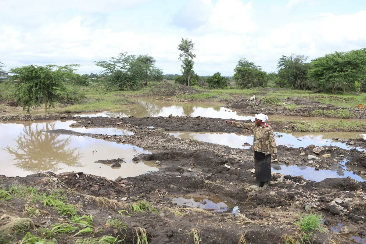 UN Reports Global Hunger Declines for Third Year Amid Ongoing Risks