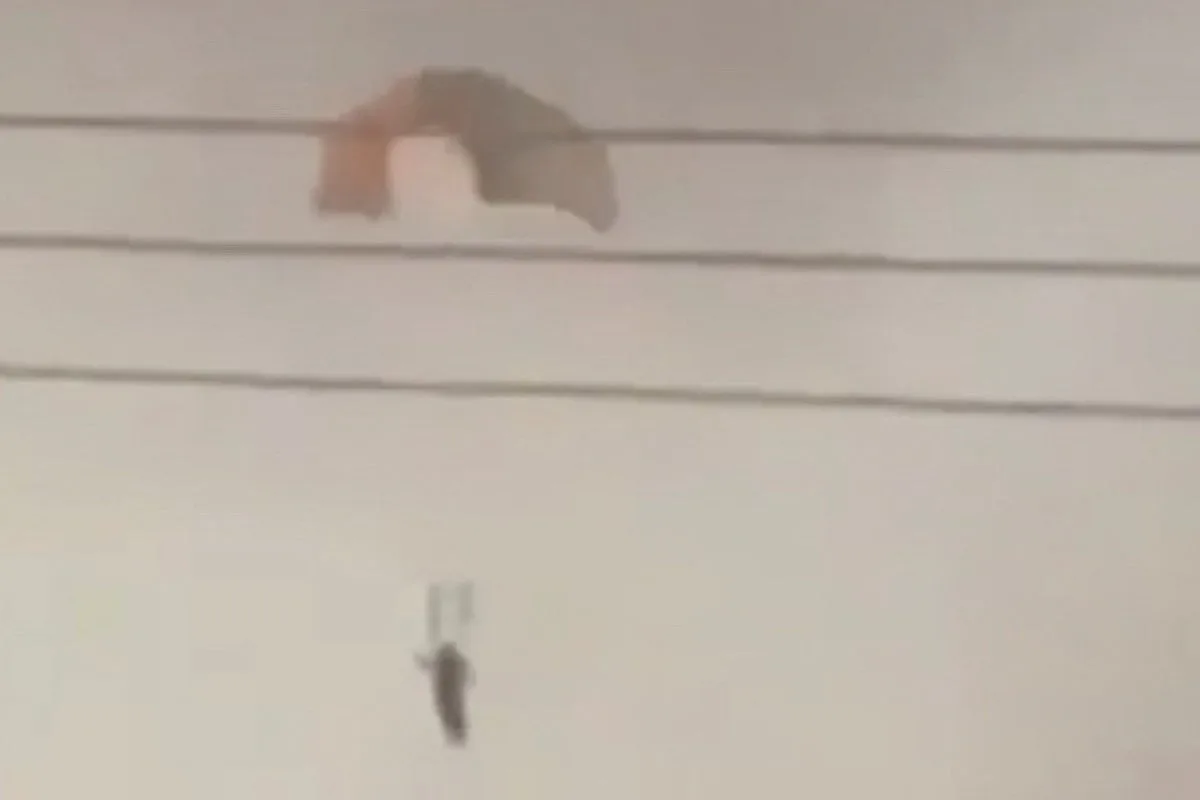 Three US Fighter Jets Shot Down by Kuwaiti Air Defense in Friendly Fire Incident