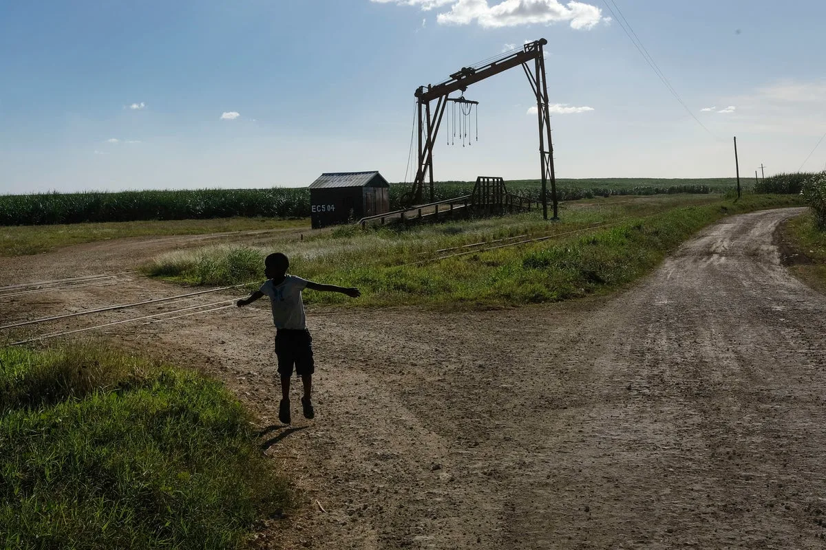 Watchdog Alleges Ongoing Labor Abuses in Dominican Sugar Industry After US Ban Lifted