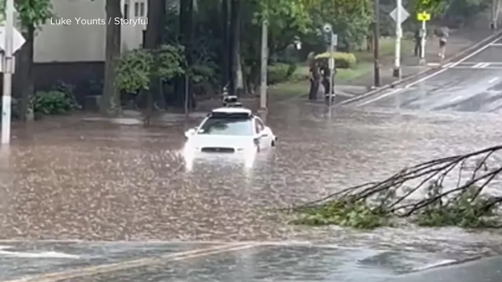 Waymo Suspends Driverless Car Service in Atlanta After Vehicle Stuck in Floodwaters