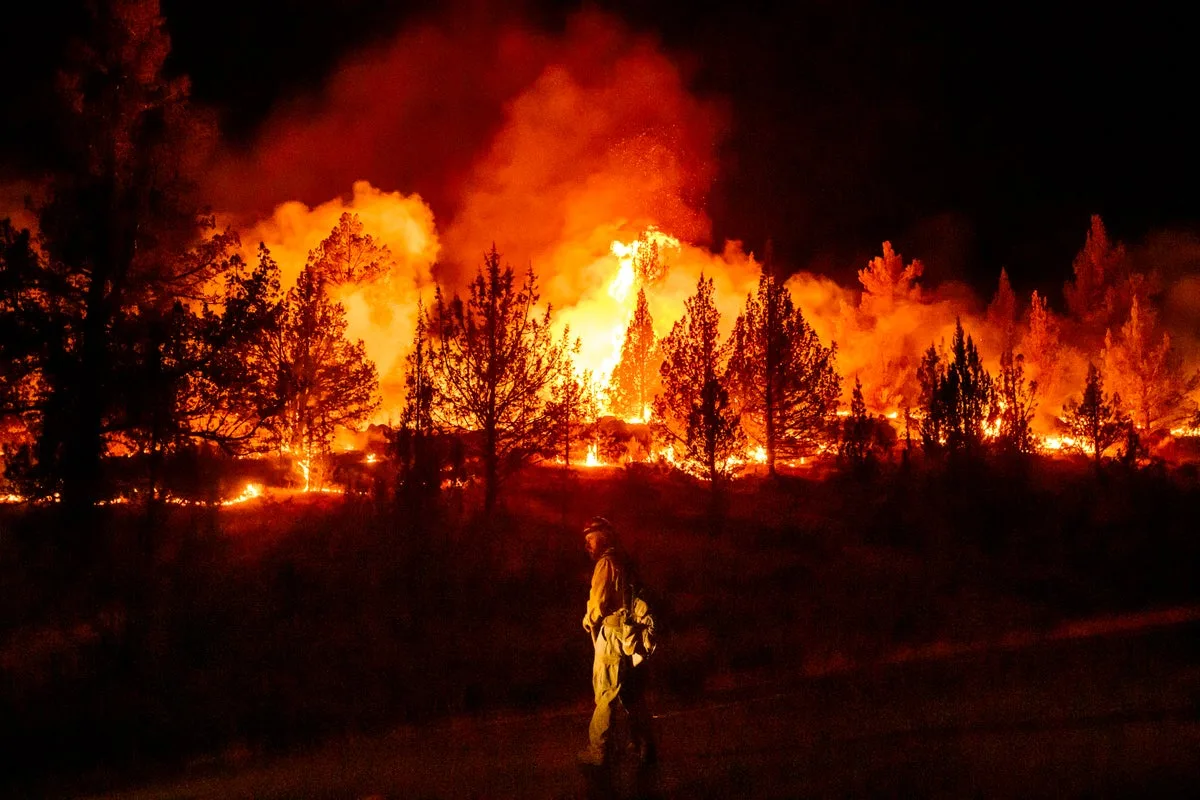 Mass Evacuations as Wildfires Continue in Southwest France and Spain