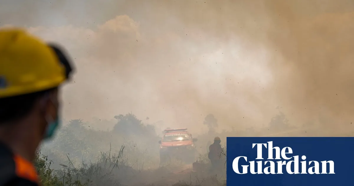 Wildfires in Indonesia Threaten Orangutan Rehabilitation Centre in West Kalimantan