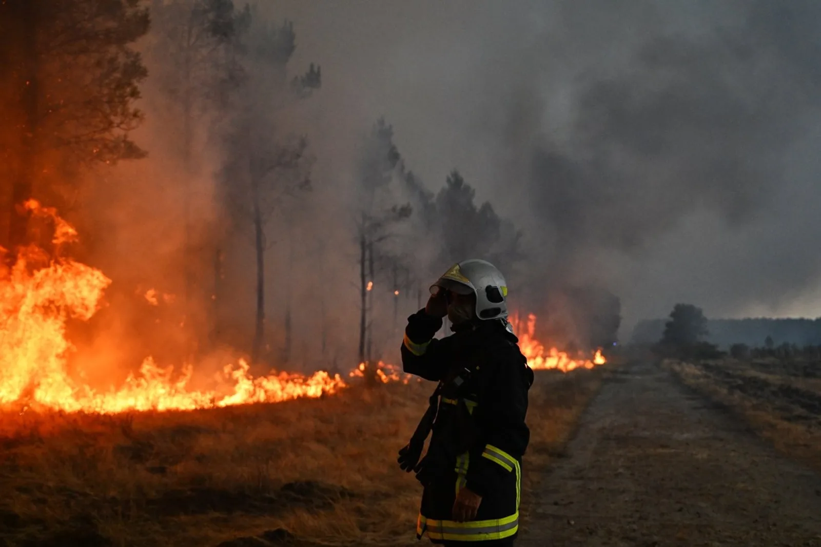 Wildfires Near Bordeaux Force Hundreds of Thousands to Evacuate