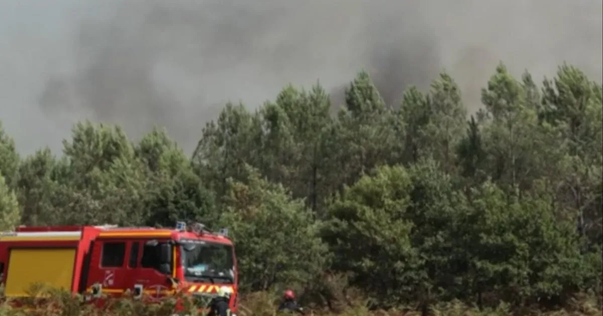 Wildfires Threaten Bordeaux Wine Region Amid Ongoing European Heatwave