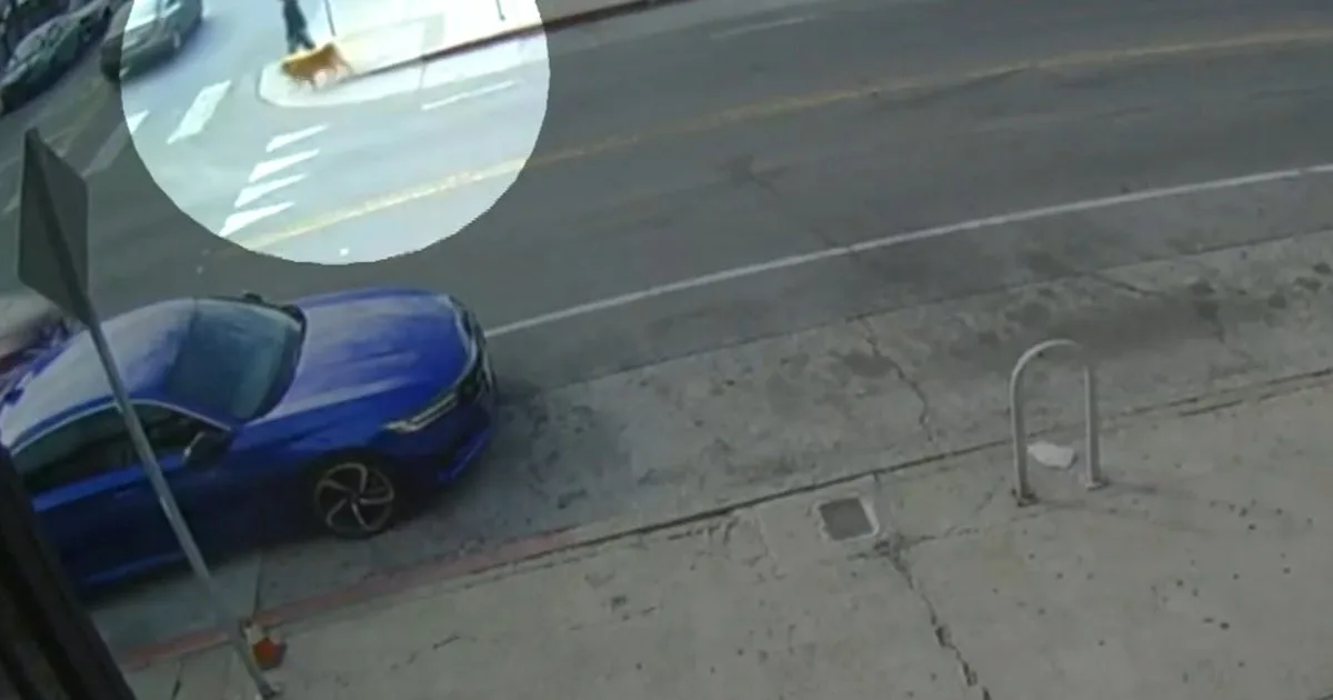 Woman Critically Injured After Car Driven by Children Strikes Pedestrian in Oakland