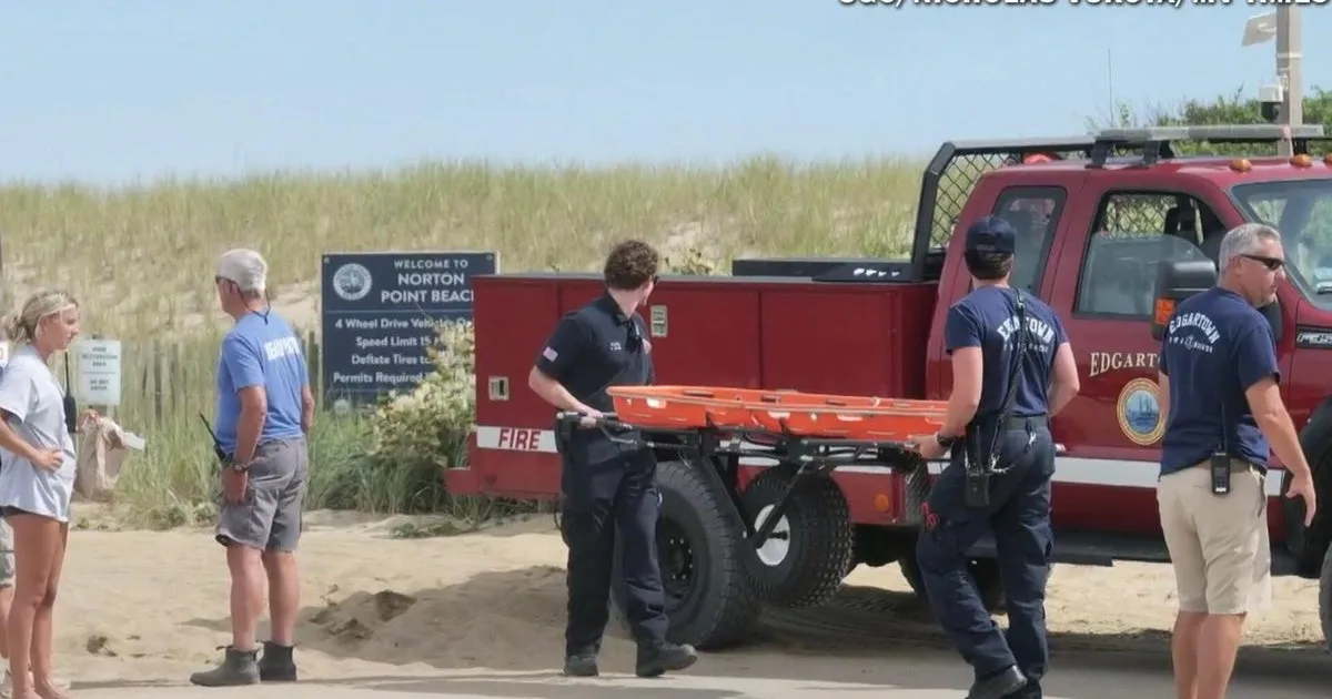 Woman Injured in Suspected Shark Bite at Martha's Vineyard Beach